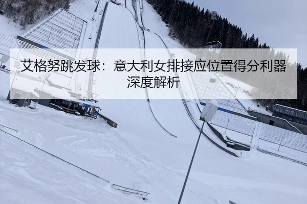ai-ge-nu-tiao-fa-qiu-yi-da-li-nv-pai-jie-ying-wei-zhi-de-fen-li-qi-shen-du-jie-xi-2-216.jpg