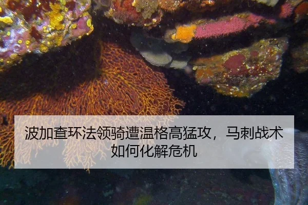 波加查环法领骑遭温格高猛攻，马刺战术如何化解危机