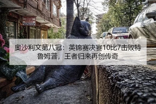 ao-sha-li-wen-di-ba-guan-ying-jin-sai-jue-sai-bi-ji-bai-te-lu-mu-pu-wang-zhe-gui-lai-zai-chuang-chuan-qi-2-337.jpg