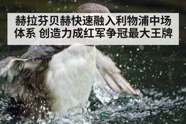 赫拉芬贝赫快速融入利物浦中场体系 创造力成红军争冠最大王牌